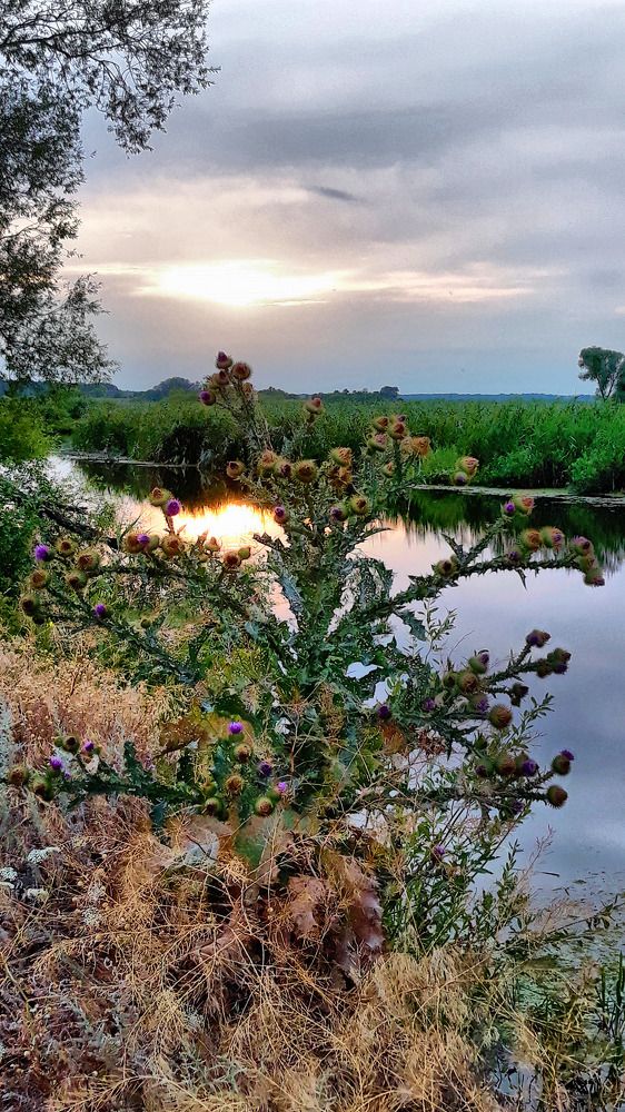 Photograph by Игорь Лотыш