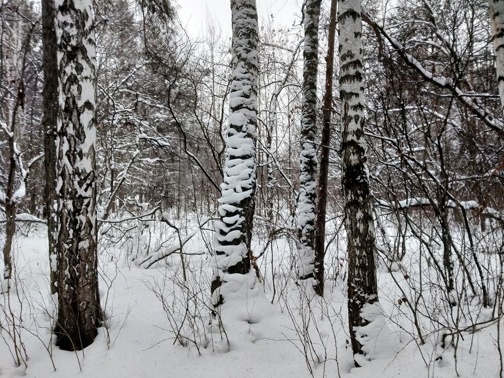 Уральская зима