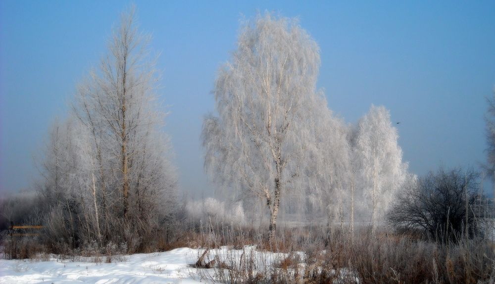 Photograph by Евгений Рогачевский