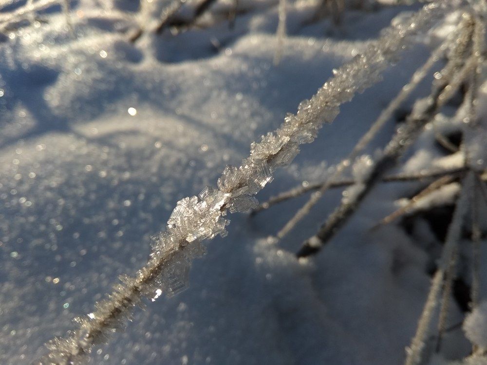 Photo #5642104