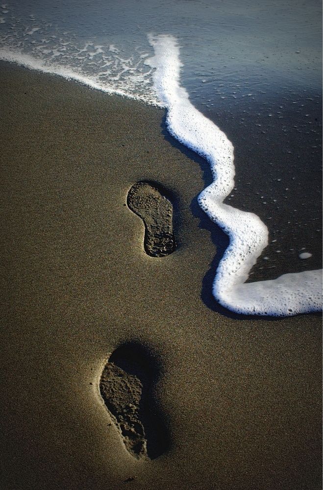 Фотография автора Jadranka Mamić