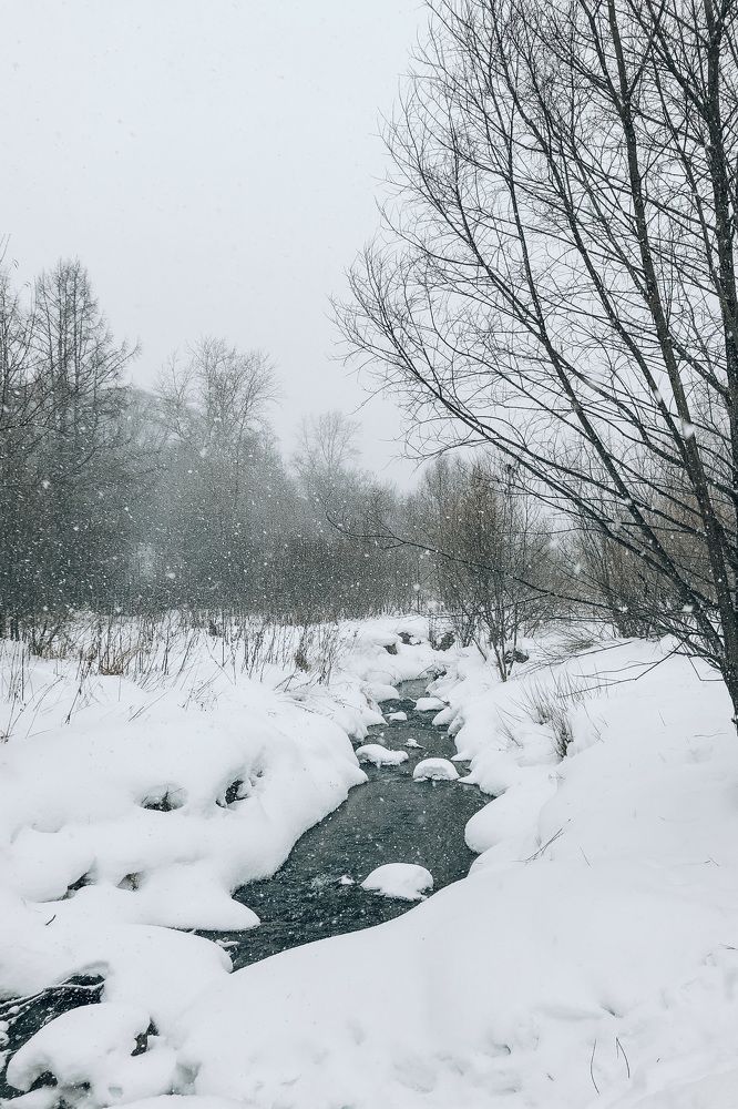 Photograph by Альбина Баташова