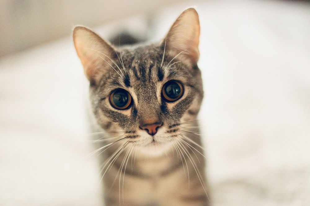 Photograph by Алия Айткалиева