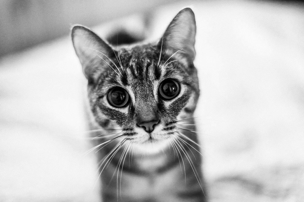 Beauty is in the eye of the beholder