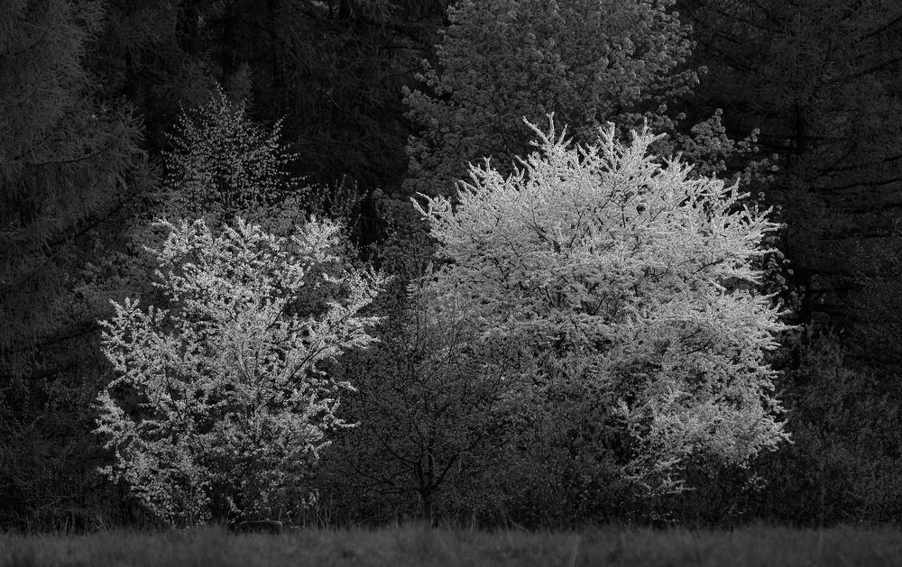 Photograph by Дмитрий