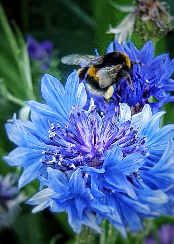 Photograph by Екатерина Сахно