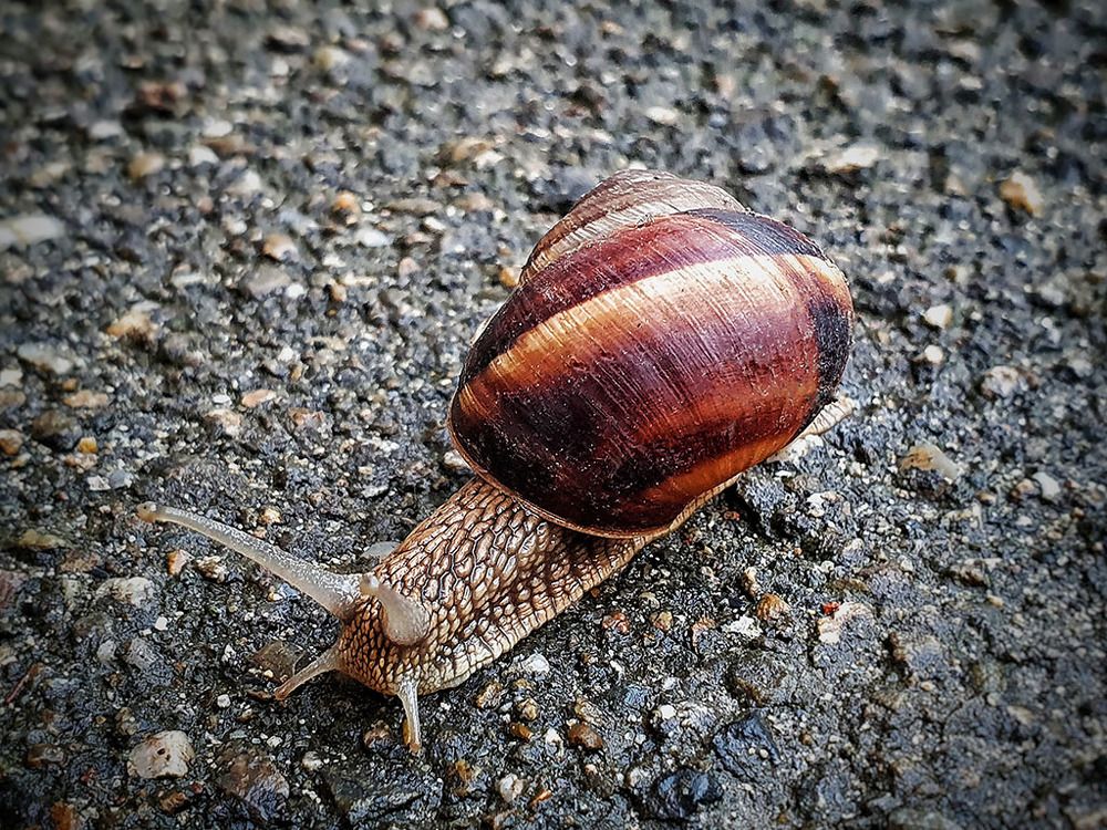 Photograph by Екатерина Сахно