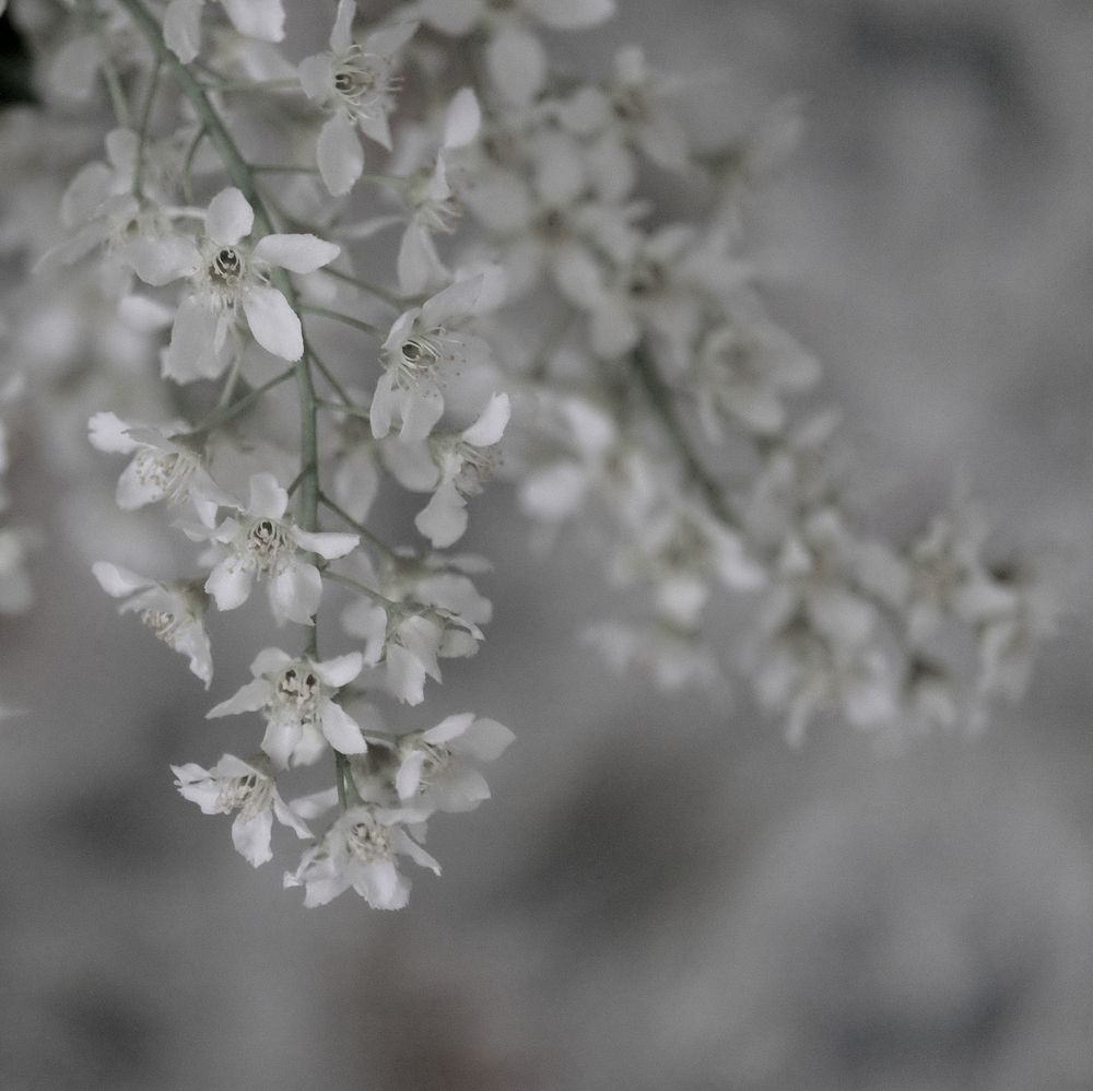Photograph by Дмитрий