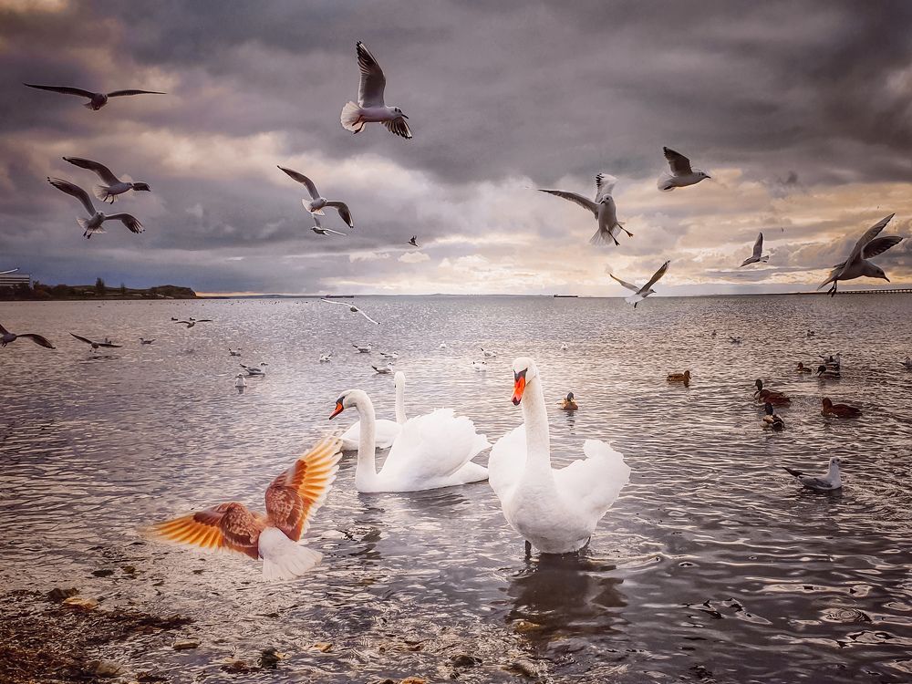 Photograph by Лариса Когтева