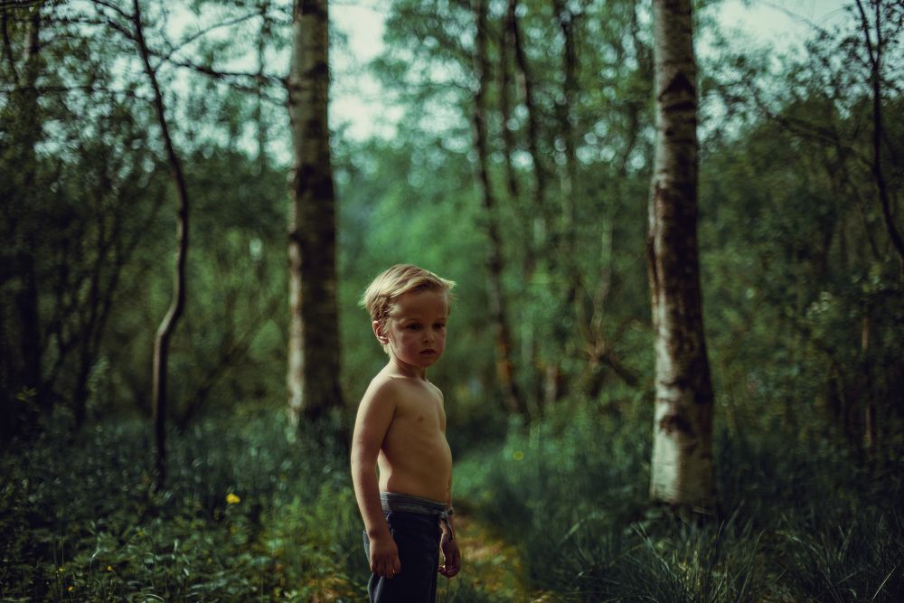 Маленький лесничий