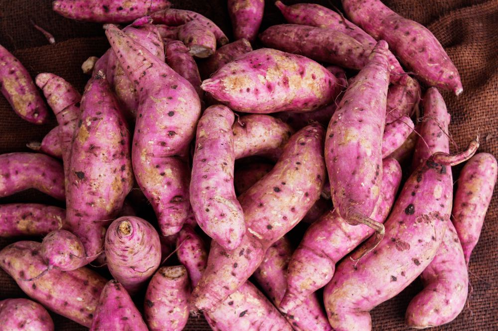 Photograph by Mohammed Abdul Rasheed