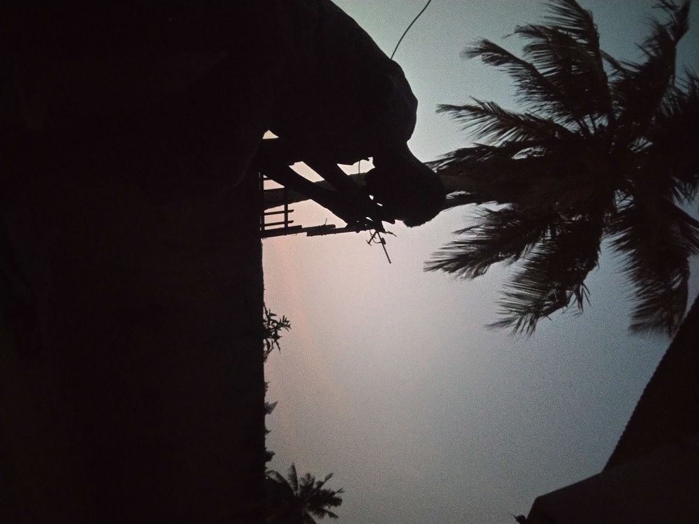 Photo #5642467