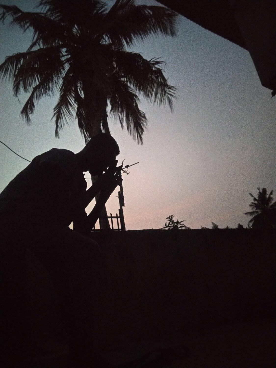 Photo #5642467