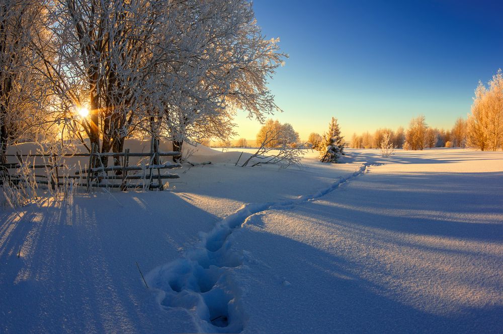 Photograph by Марина Мурашова