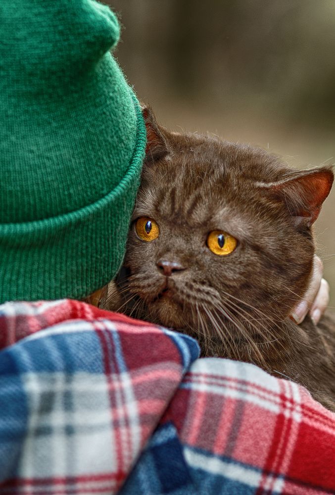 Photograph by Елена Власова