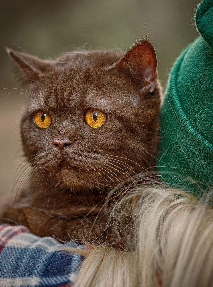 Photograph by Елена Власова