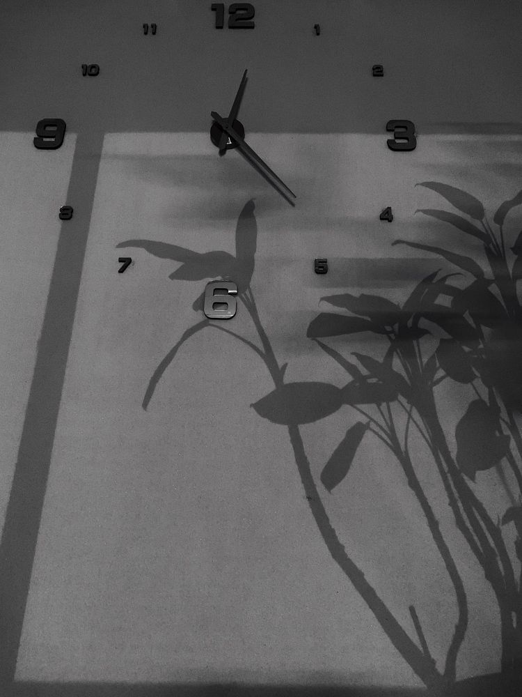 Теневое время.