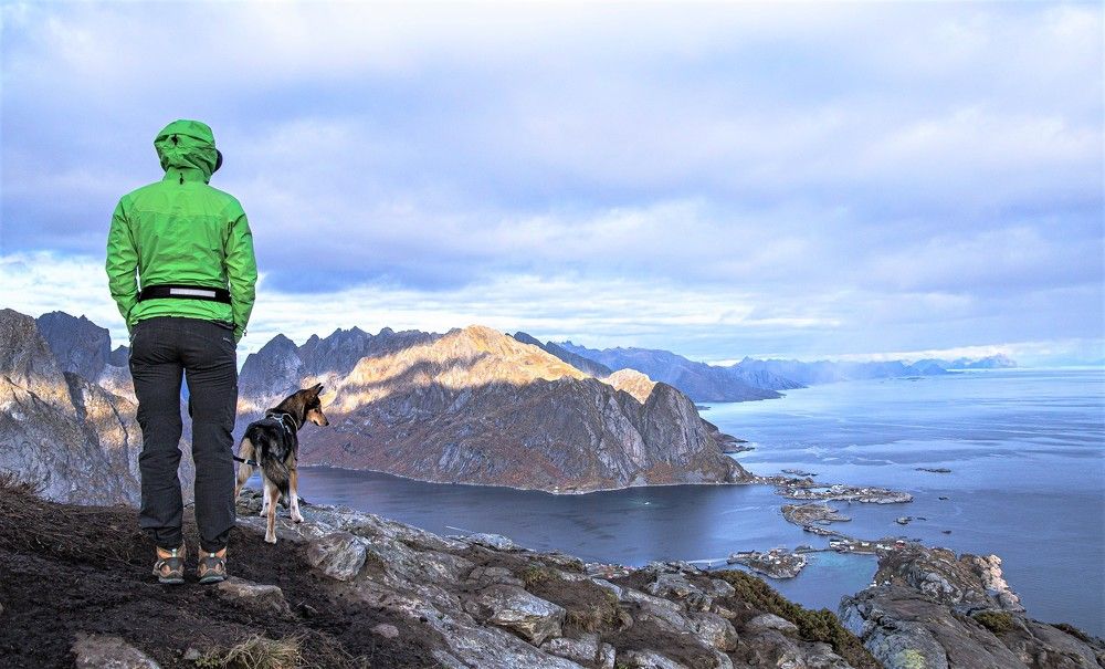 View Reinebringen Lofoten III
