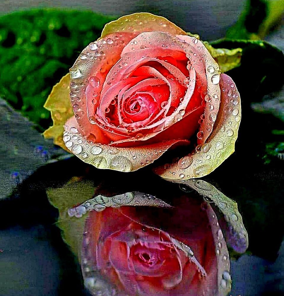 Photograph by Artur Avakov