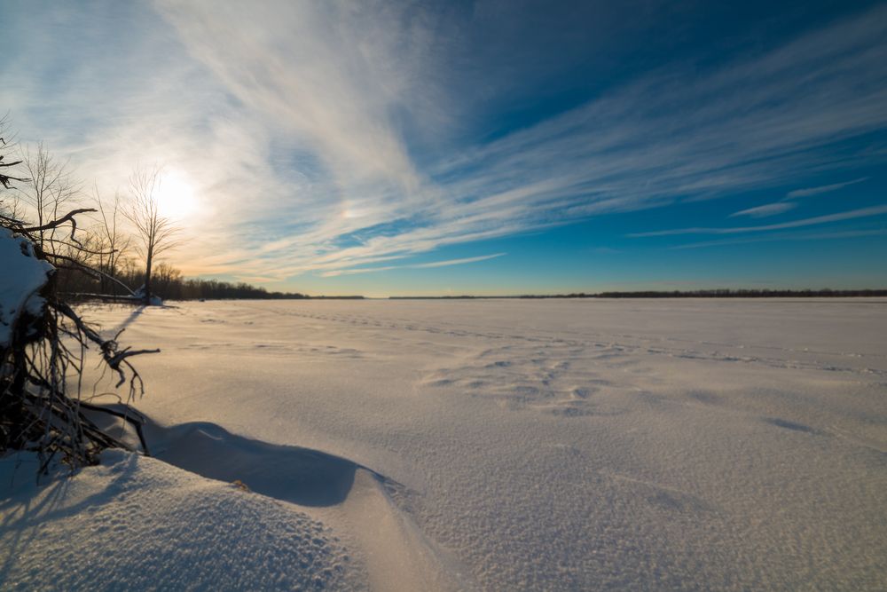 Late in the afternoon along the lake. Winter landscape