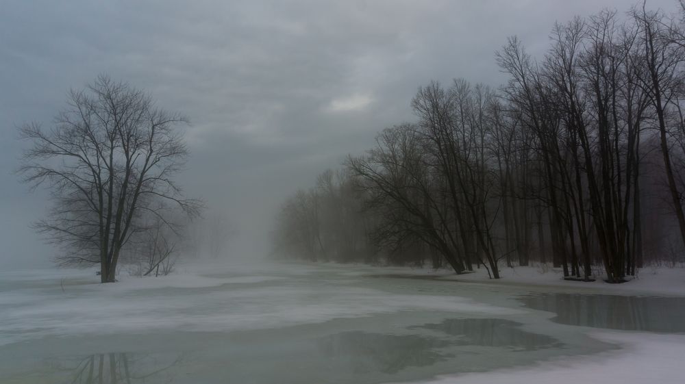 Afternoon fog along the lake. Orleans, Ontario, Canada