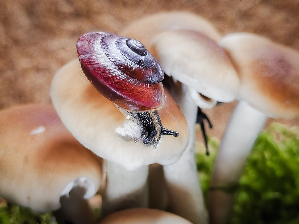 Photograph by Ekaterina Fadeeva