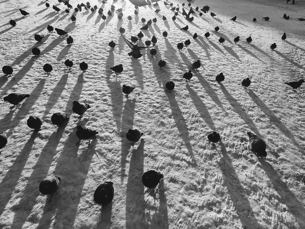 Photograph by Ксения Щербакова