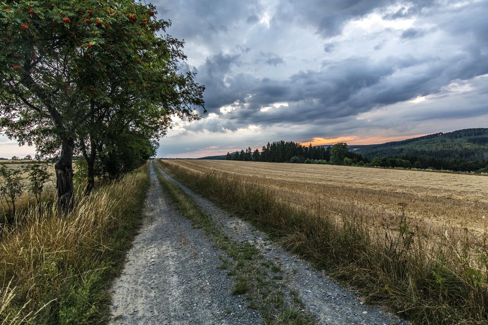 Фотография автора Алексей Яковлев