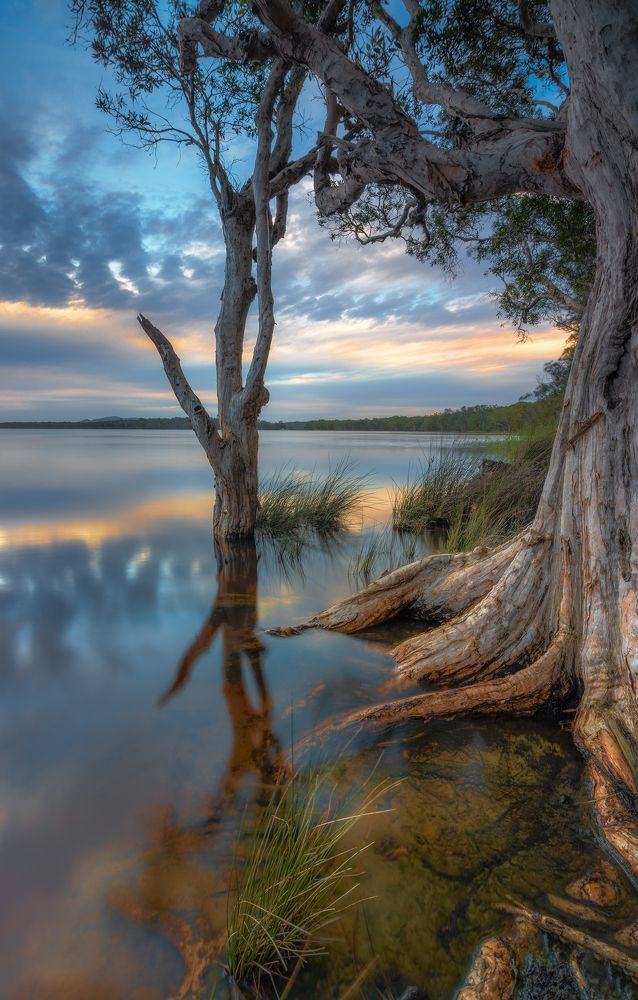 Photograph by Louise Richards