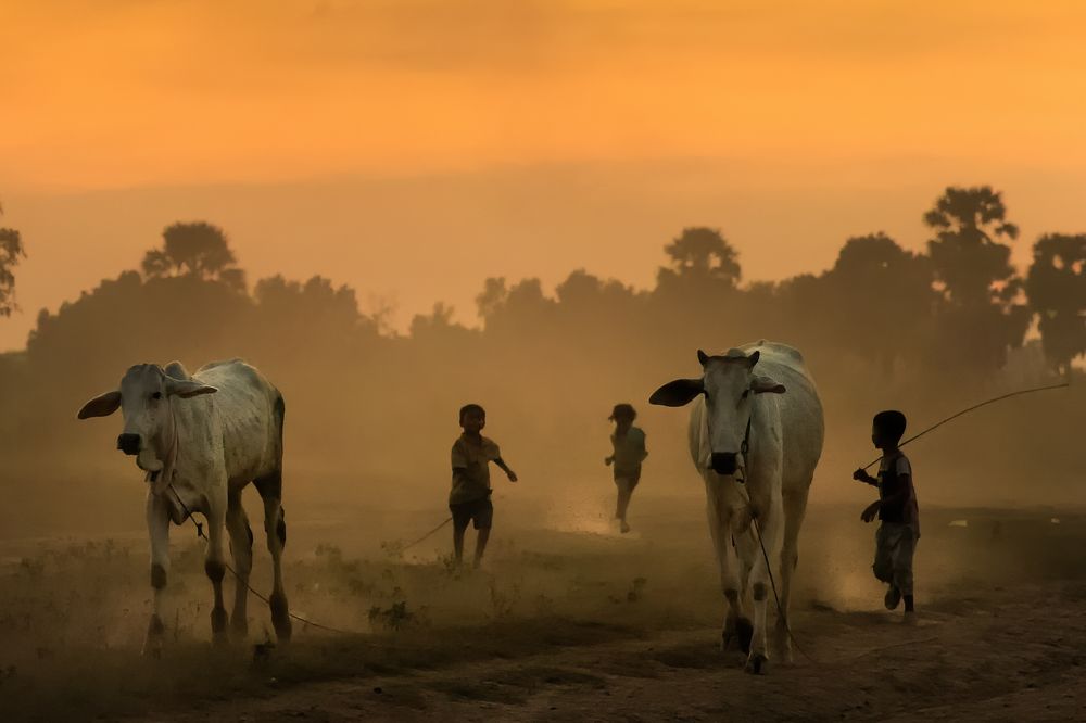 Photograph by Ali Khataw