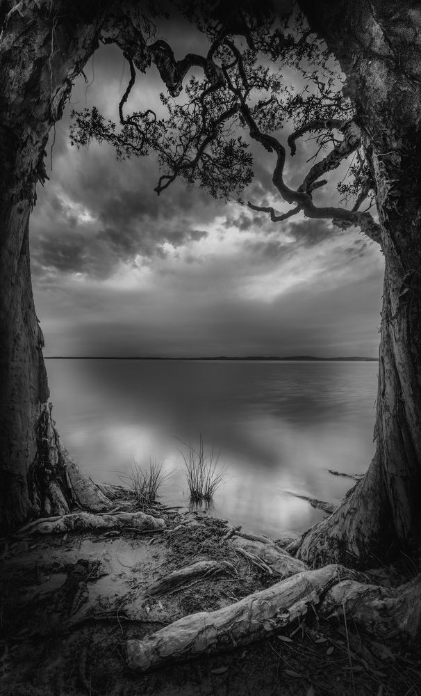 Photograph by Louise Richards