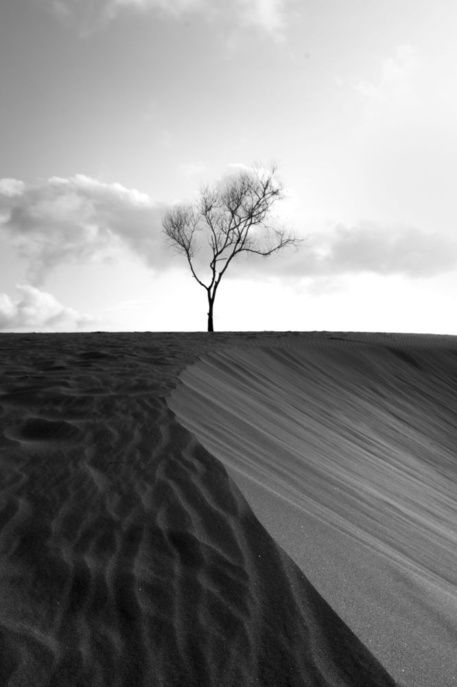 Photograph by Dimas Fathurrahman