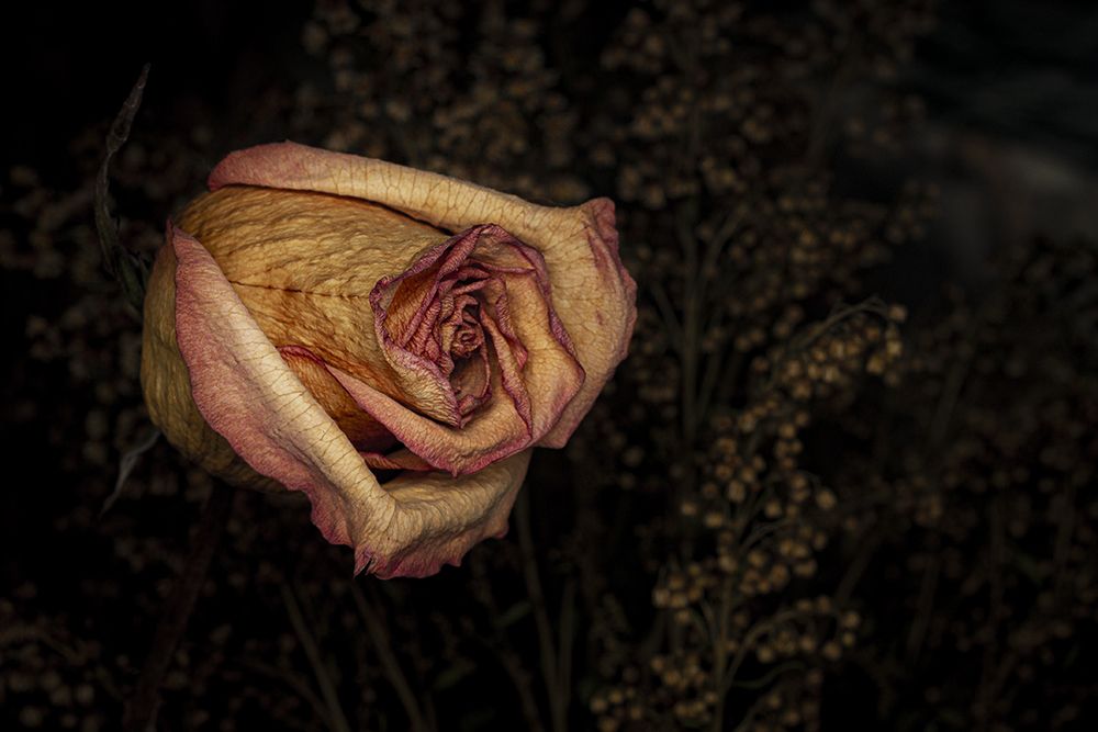 Photograph by Hernan Jaramillo