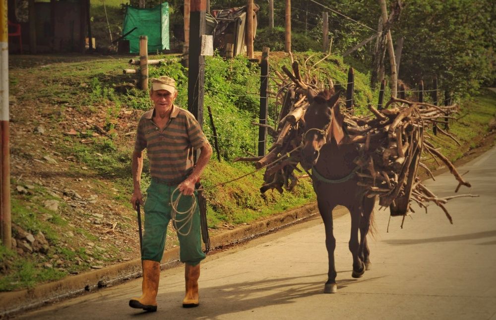 Photograph by Edison Suarez