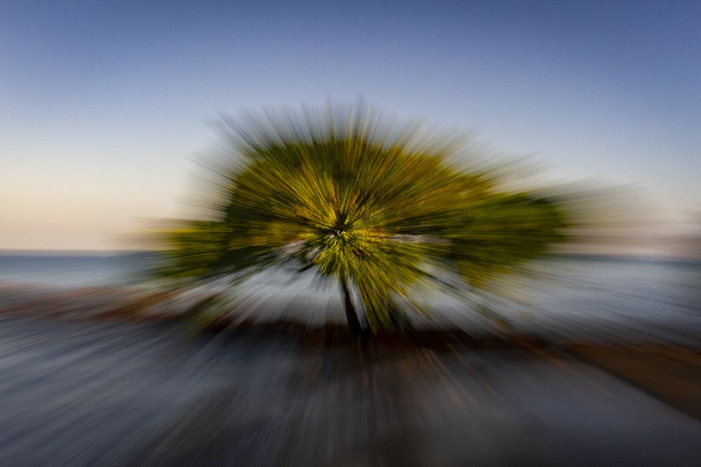 Photograph by Hernan Jaramillo