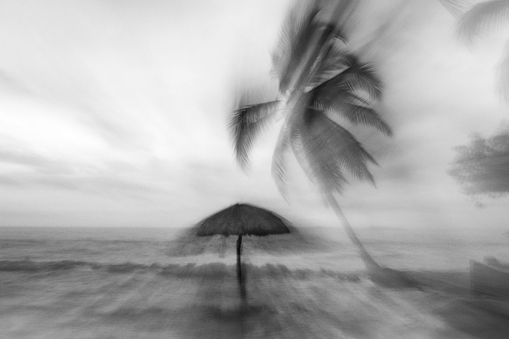 Photograph by Hernan Jaramillo