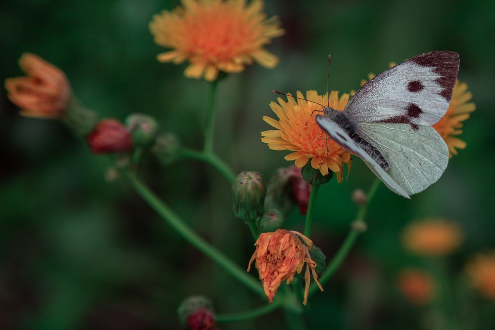 Photograph by Alex Dushutin