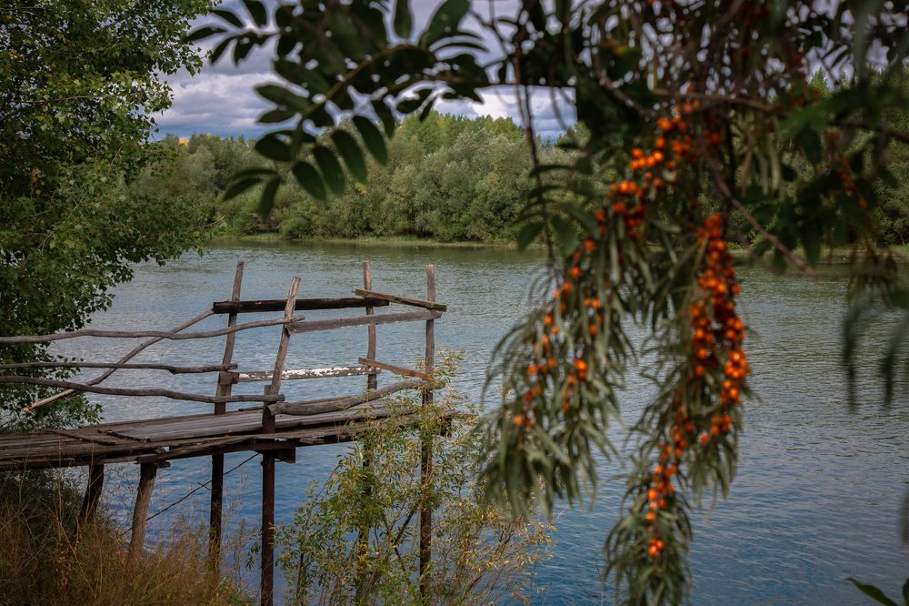 Photograph by Alex Dushutin