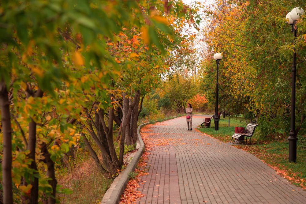 Photograph by Alex Dushutin