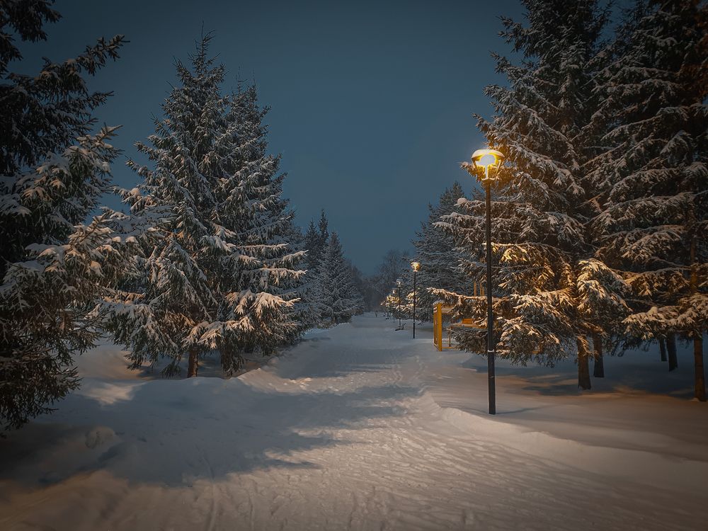 Photograph by Alex Dushutin