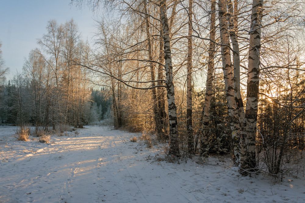 Photograph by Sergey L