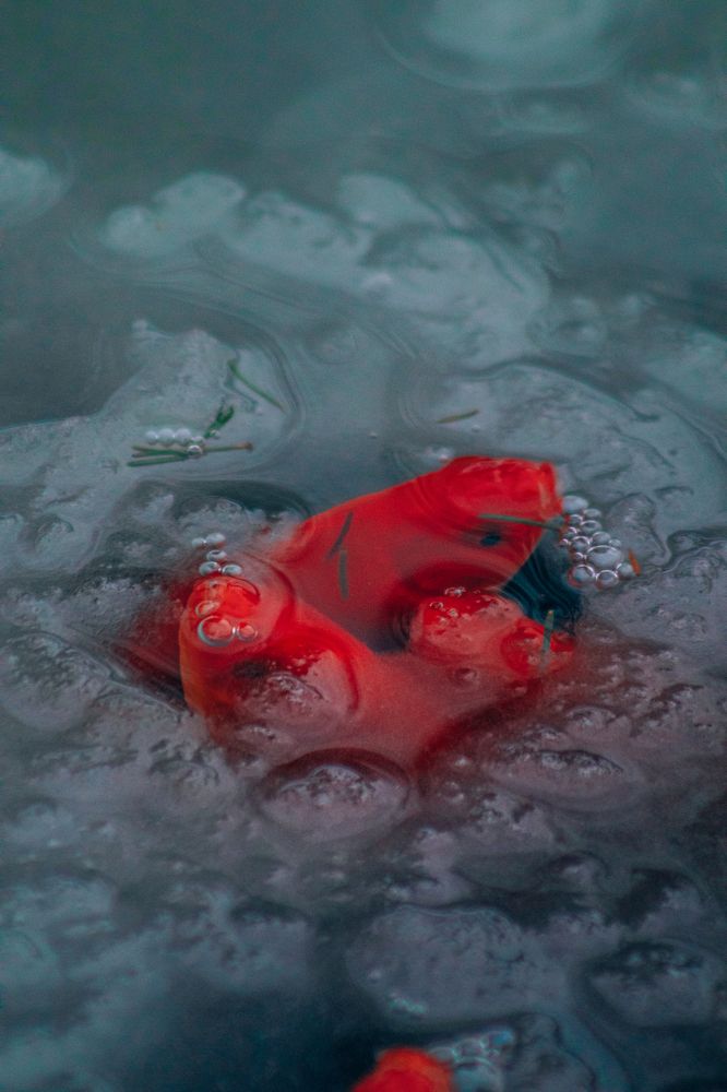 Остаемся зимовать