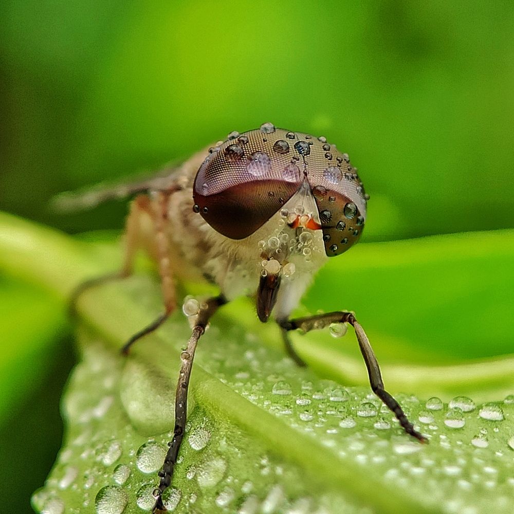 I have a bright future! I need shades