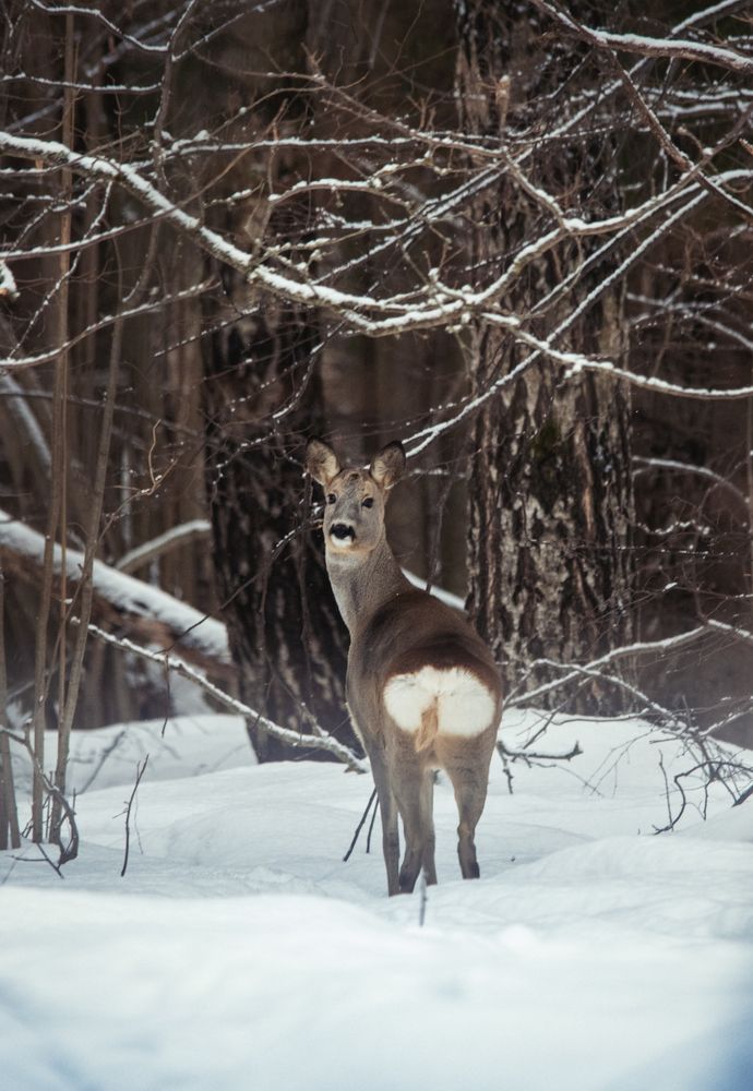 Photograph by Александр Овсенёв