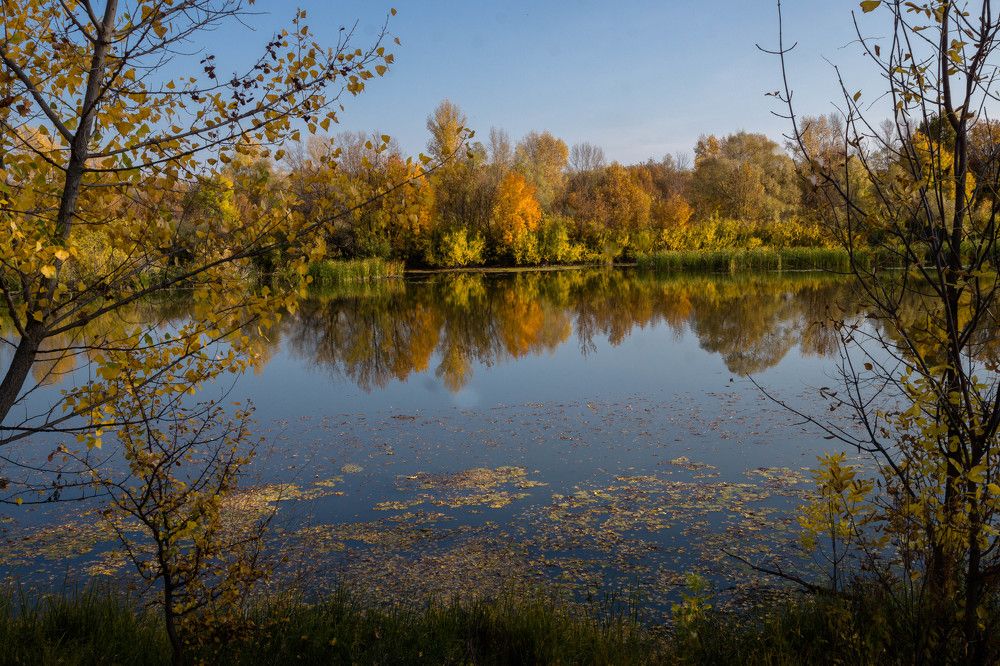 Photograph by Елена Гольдебаева