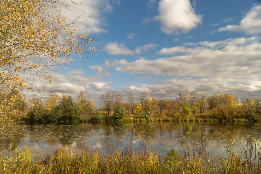 Photograph by Елена Гольдебаева