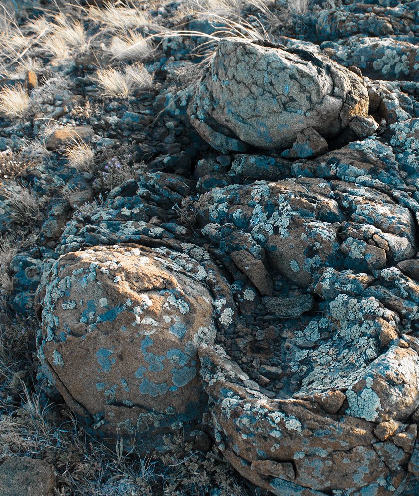 Цветение камней