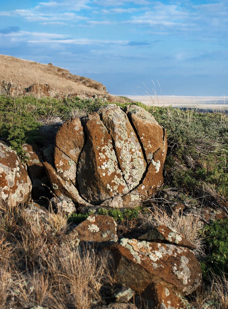 Каменный цветок