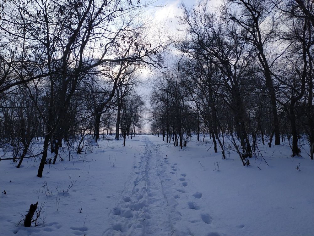 Photograph by Павел Михно