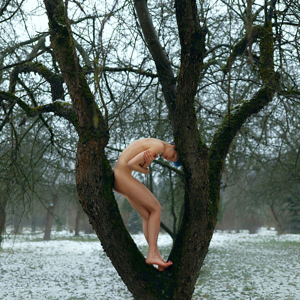 Photograph by Артём Кобызев